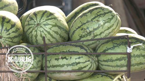 一天吃八个瓜都是啥瓜,一日瓜果大盘点