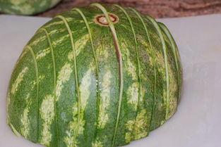 瓜粒可以吃吗,美味还是禁忌？揭秘瓜粒可食用之谜