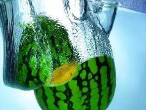 井底吃瓜的图片,揭秘网络热图的趣味与思考