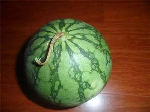 老咪吃瓜,揭秘娱乐圈那些不为人知的幕后故事