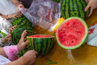 52吃瓜视频,揭秘娱乐圈幕后故事，带你领略明星真实生活