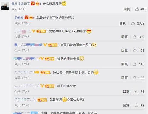 评论吃瓜什么意思,网络评论中的趣味与智慧