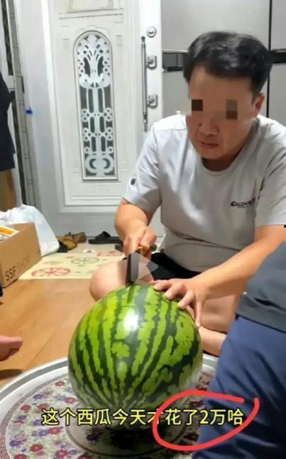 西瓜直播吃瓜视频,一场别开生面的吃瓜盛宴