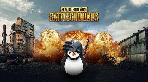 老王瓜吃鸡直播