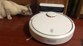 吃瓜机器图片大全