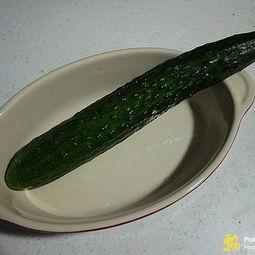 什么动物吃脆瓜,喜鹊美食之旅