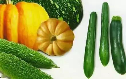 金寨吃瓜专家,金寨吃瓜专家带你领略当地特色美食