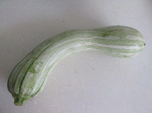 吊瓜水分多少可以吃,吊瓜水分含量与食用指南