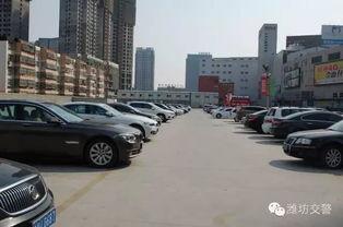 泰华停车场吃瓜,吃瓜群众的欢乐盛宴