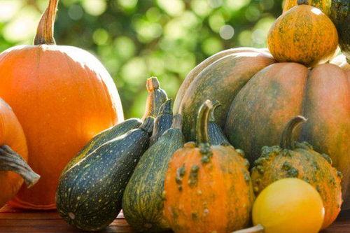 月升沧海小胖吃瓜,小胖吃瓜，揭秘娱乐圈幕后风云