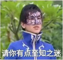 吃瓜表情包小说,吃瓜表情包小说里的欢乐时光