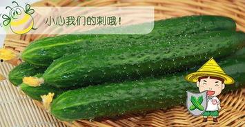 吃瓜小六,揭秘娱乐圈那些不为人知的幕后故事