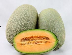 皮蛋跟哈密瓜能一起吃吗,健康搭配的饮食新选择