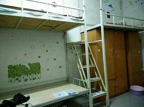 迎新宿舍吃瓜,揭秘宿舍里的那些“吃瓜”趣事