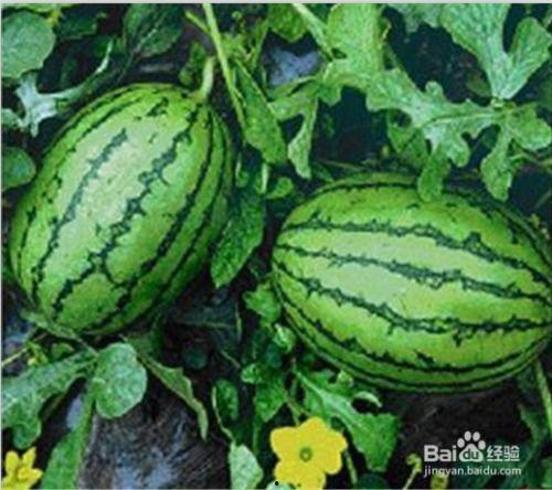 现在吃的瓜,揭秘娱乐圈最新热点事件