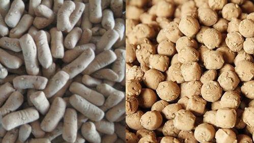 祺子吃瓜,揭秘娱乐圈幕后故事