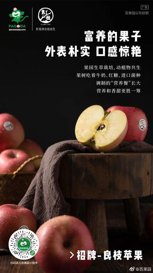 没有瓜吃的无聊文案