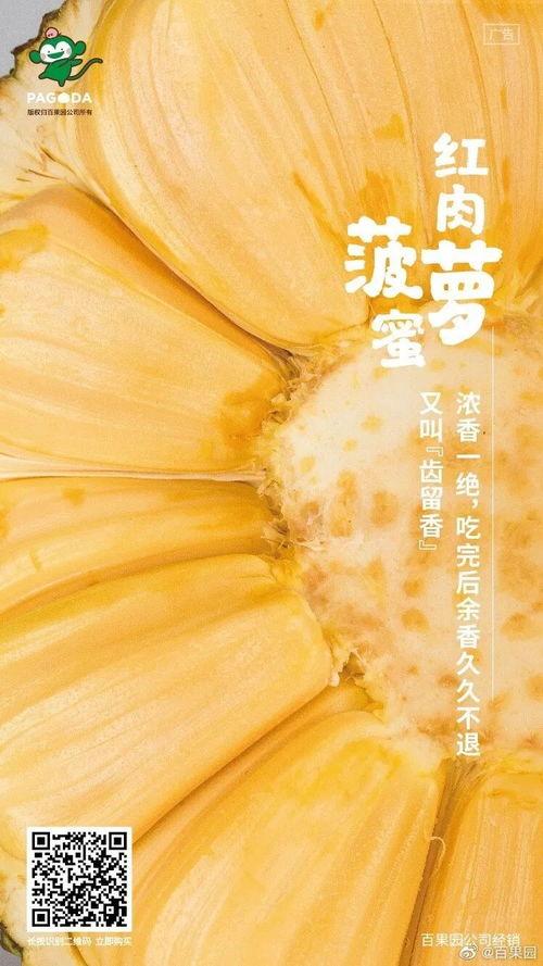 没有瓜吃的无聊文案