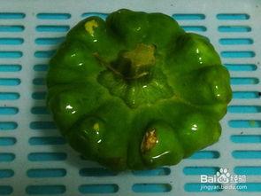 姜饼瓜花怎么吃,创意美食制作与美味享用指南