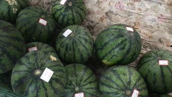 瓜摊老板吃瓜,一瓜一世界，一摊一人生