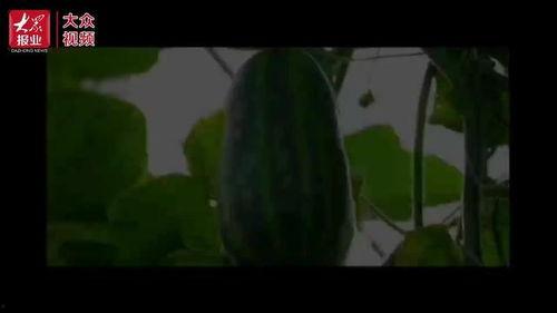 横店群众吃瓜视频在哪看,揭秘横店幕后生活瞬间