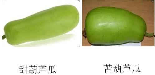 淄博吃瓜啥意思,揭秘网络热词背后的文化现象