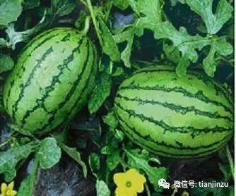 七宝吃瓜,揭秘娱乐圈幕后故事