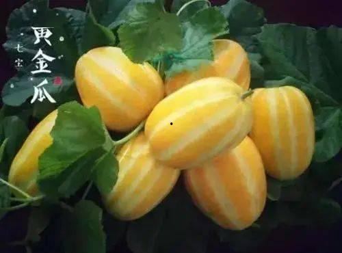 七宝吃瓜,揭秘娱乐圈幕后故事