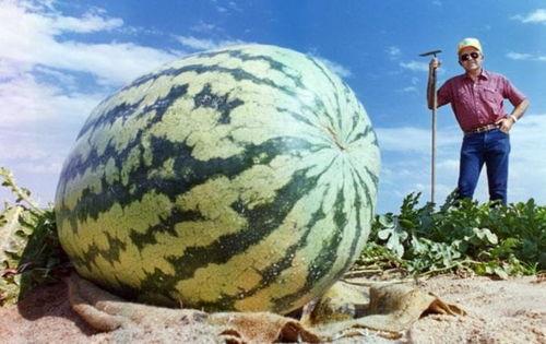 世纪吃瓜,揭秘娱乐圈幕后风云