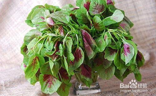 苋菜和瓠瓜可以一起吃吗,健康搭配，美味共享