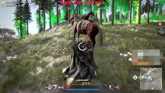 遇狼吃瓜君,揭秘狼群生存智慧与人类互动之谜