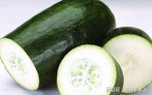 吃瓜不吃水,网络热词背后的文化现象