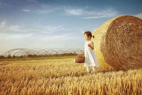 麦田怎么拍照吃瓜,捕捉夏日吃瓜的美好瞬间