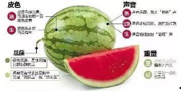 恰瓜微信群吃瓜