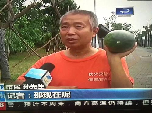 林州热门吃瓜事件,揭秘背后真相