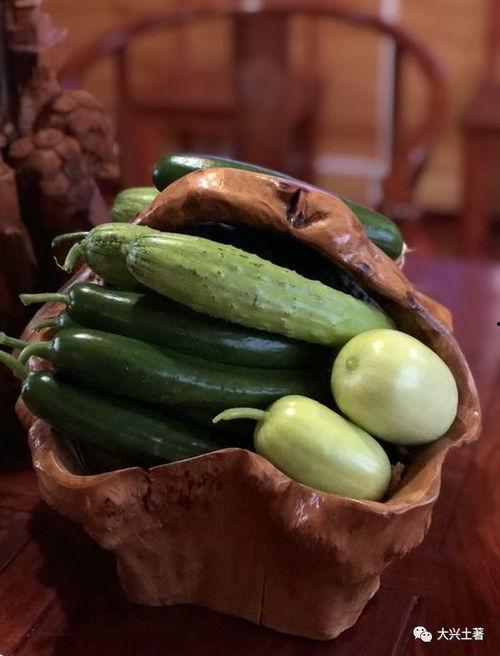 西藏网红吃瓜,揭秘高原美食背后的故事