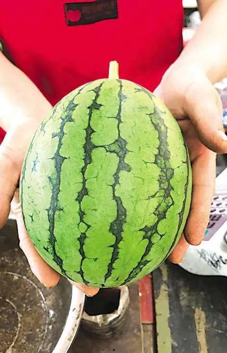 西峡吃瓜事件,一场引发社会热议的网络风波