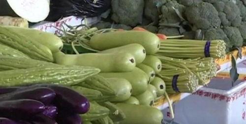 毛瓜不能与什么一起吃,揭秘不能与哪些食物同食的真相