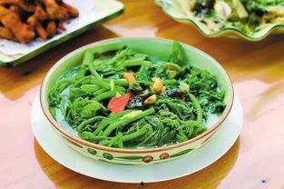 河南罗山吃瓜视频,一场别开生面的乡村美食盛宴