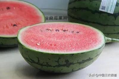 吃瓜算功德,揭秘“吃瓜算功德”的神奇效应