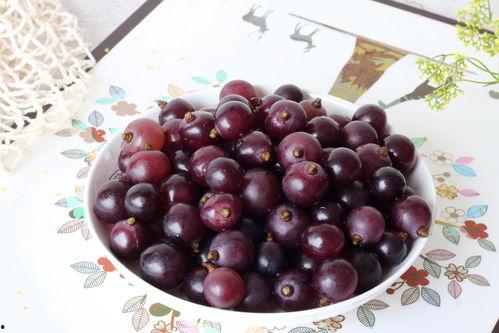 吃毛瓜可以吃葡萄吗,探索两者可否共食的奥秘