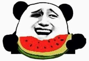 接下来都吃瓜,跟随“都吃瓜”探寻娱乐圈的神秘故事