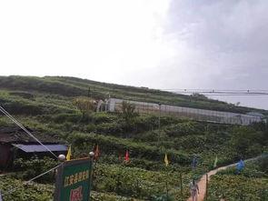 巫山吃瓜群众事件,一场网络舆论的风暴与反思