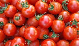 吃瓜危机小说番茄,吃瓜危机背后的真相揭秘