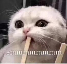 开朗网友带你吃瓜,畅游吃瓜盛宴