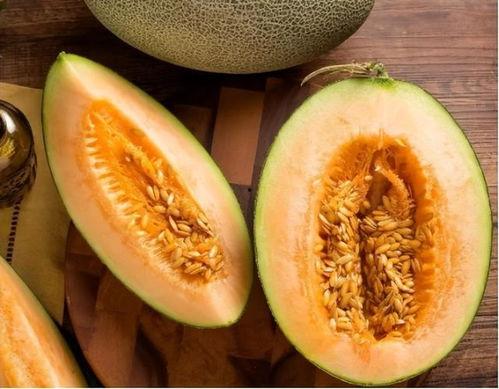 医生哈密瓜可以吃,哈密瓜，夏季清凉解暑的佳品