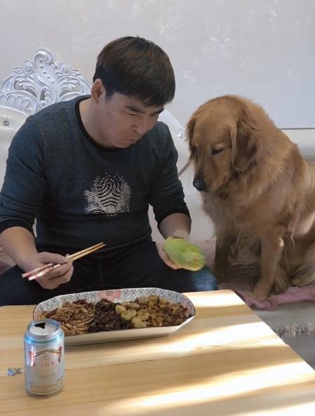 金毛水中吃瓜,金毛犬水中畅享夏日瓜果盛宴