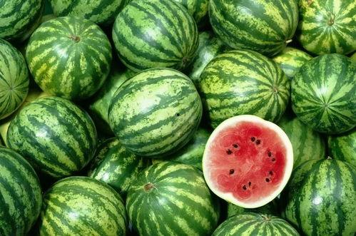 吃脆瓜西瓜声控,尽享夏日清凉之声