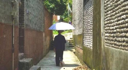 赵县最新吃瓜事件,揭秘网络热议背后的真相