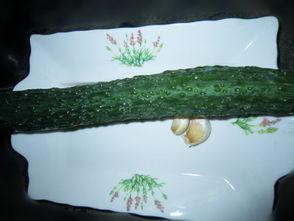 青龙采瓜怎样吃,探寻古法美食的独特风味